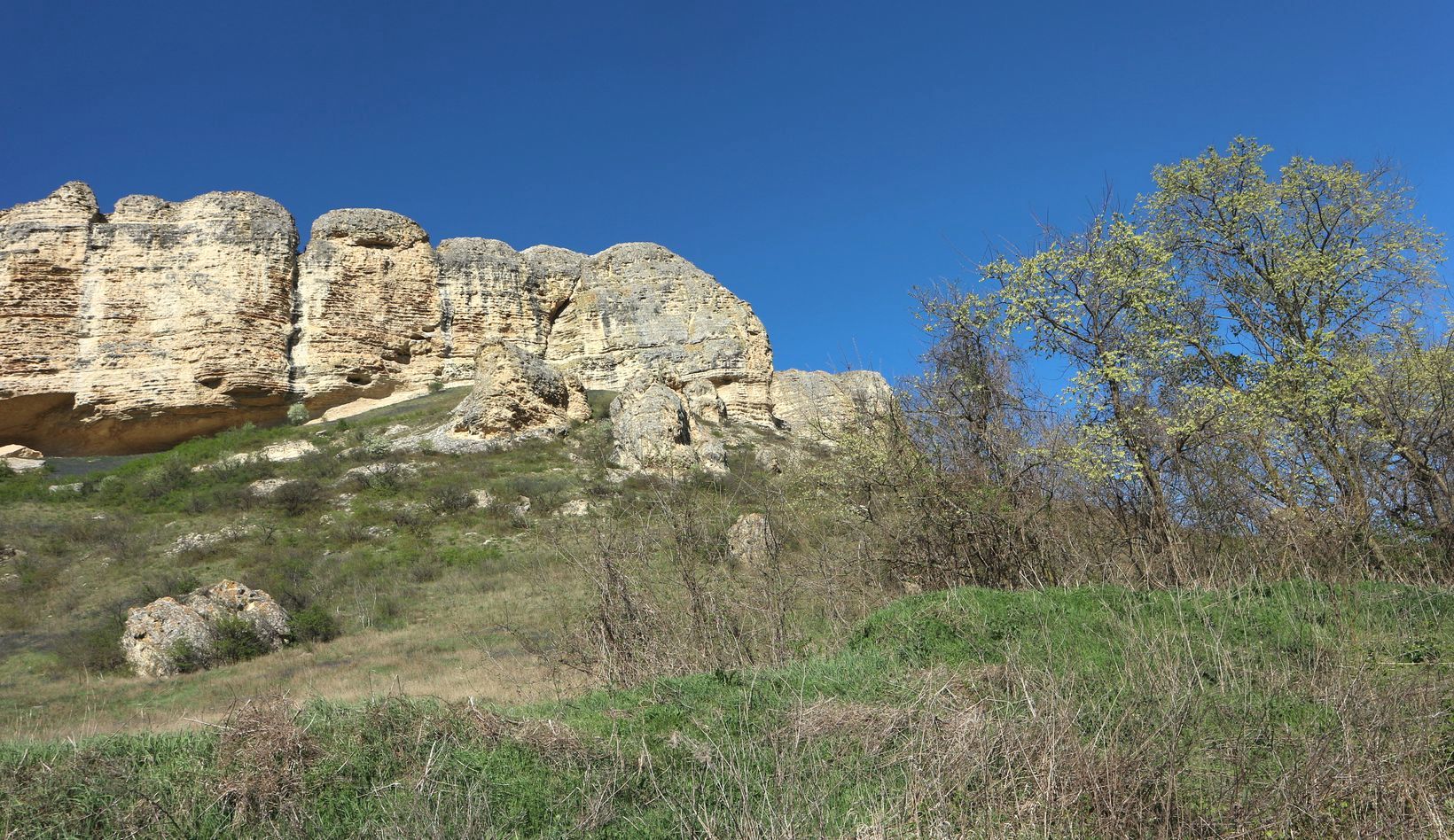 Бор-Кая, image of landscape/habitat.
