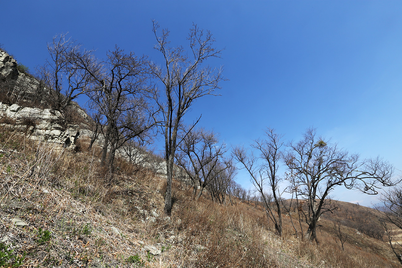 Гора Суходол, image of landscape/habitat.