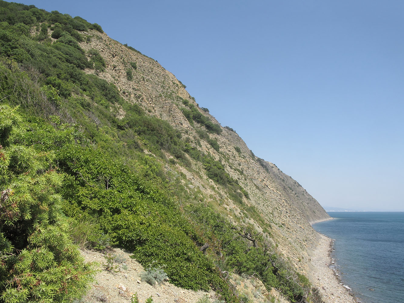 Гора Круглая, image of landscape/habitat.