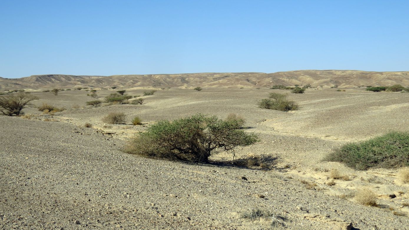 Эмек Арава, image of landscape/habitat.