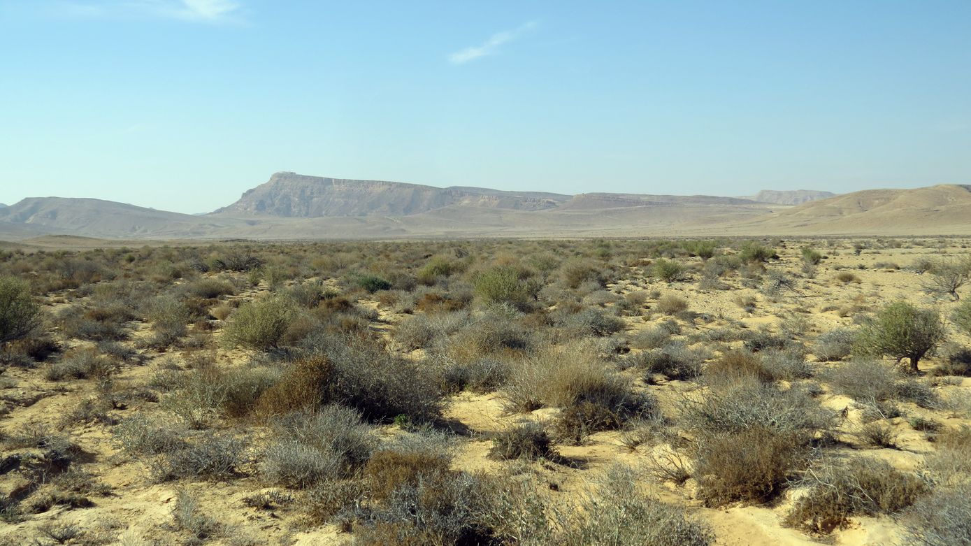 Равнина Мишор а-Сээфим, изображение ландшафта.