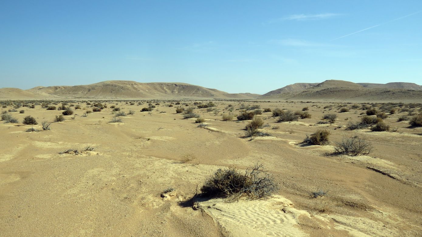 Равнина Мишор а-Сээфим, image of landscape/habitat.