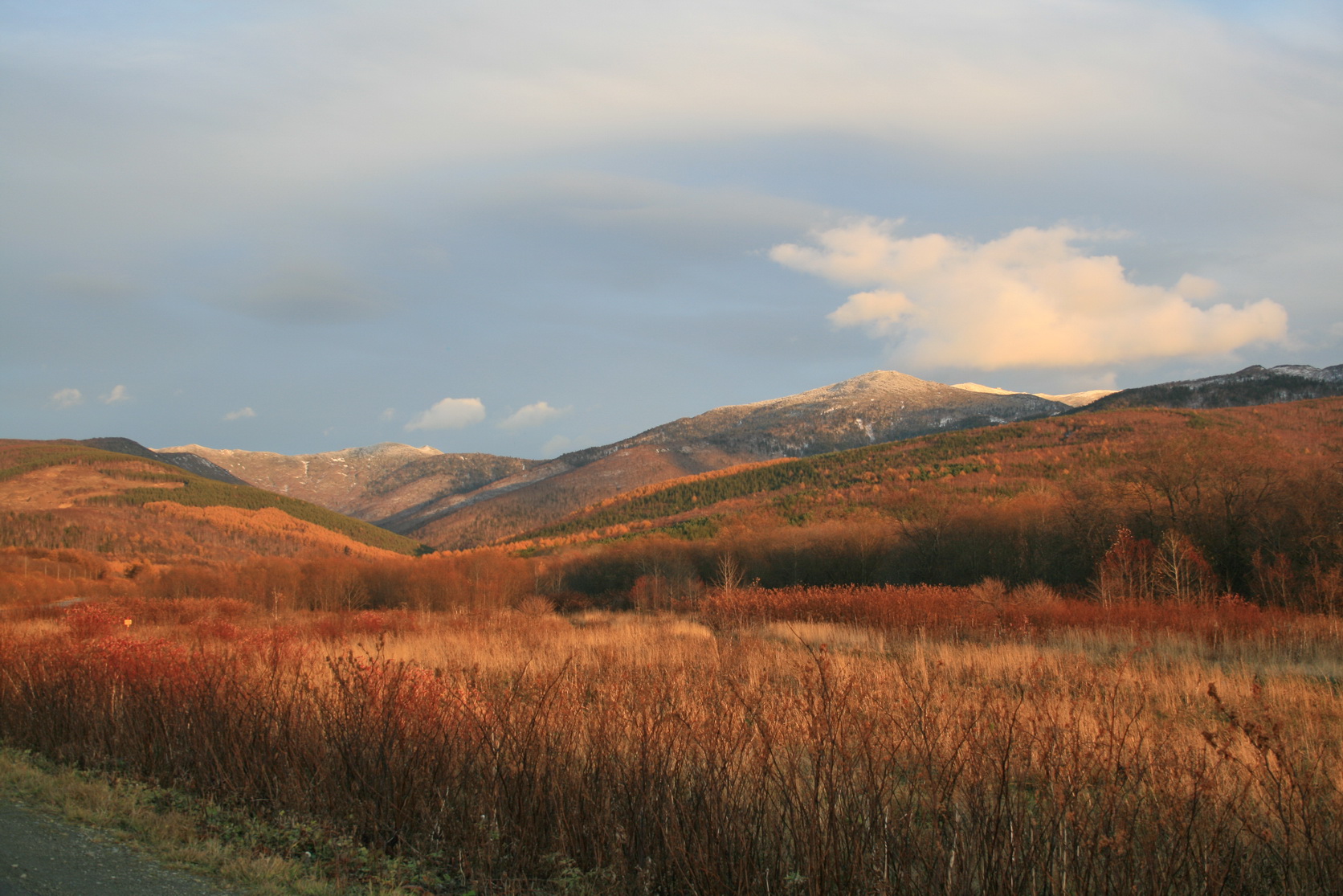 Южно-Сахалинск, image of landscape/habitat.