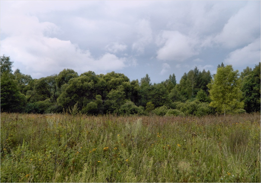 Каспля, image of landscape/habitat.