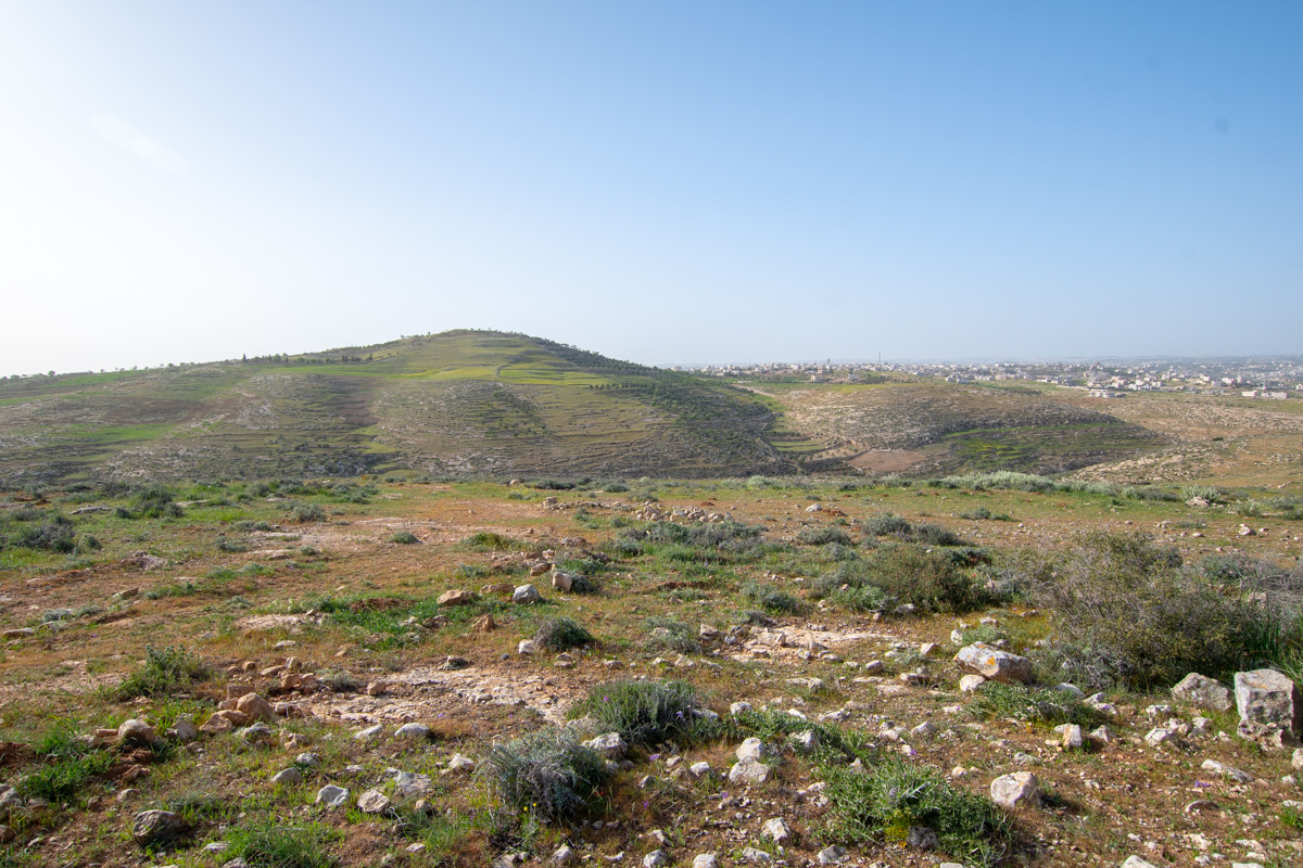 Иудейские горы, изображение ландшафта.
