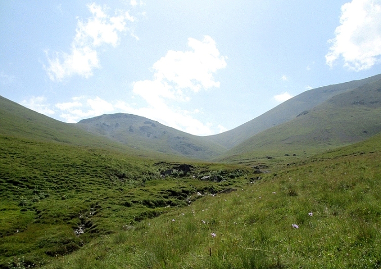 Долина ручья Кыртык, image of landscape/habitat.