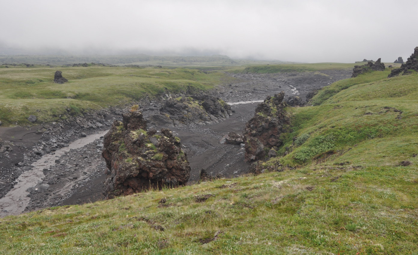 Верховья реки Студеная, image of landscape/habitat.