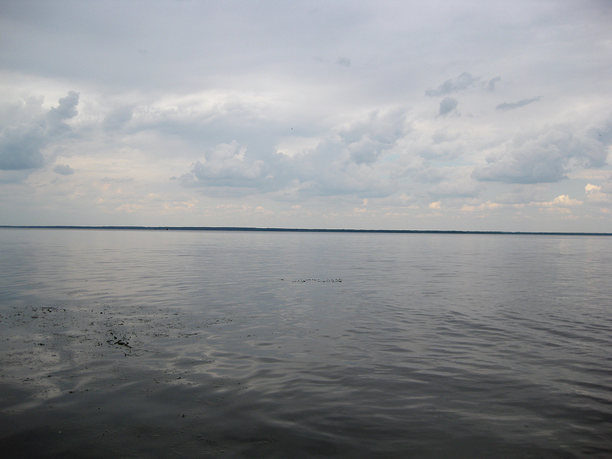 Трахтемиров, image of landscape/habitat.