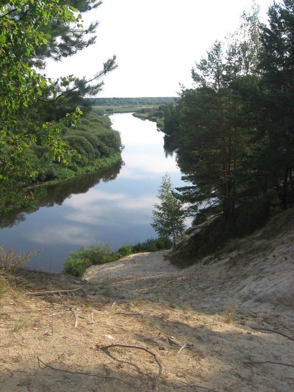 Белино, image of landscape/habitat.