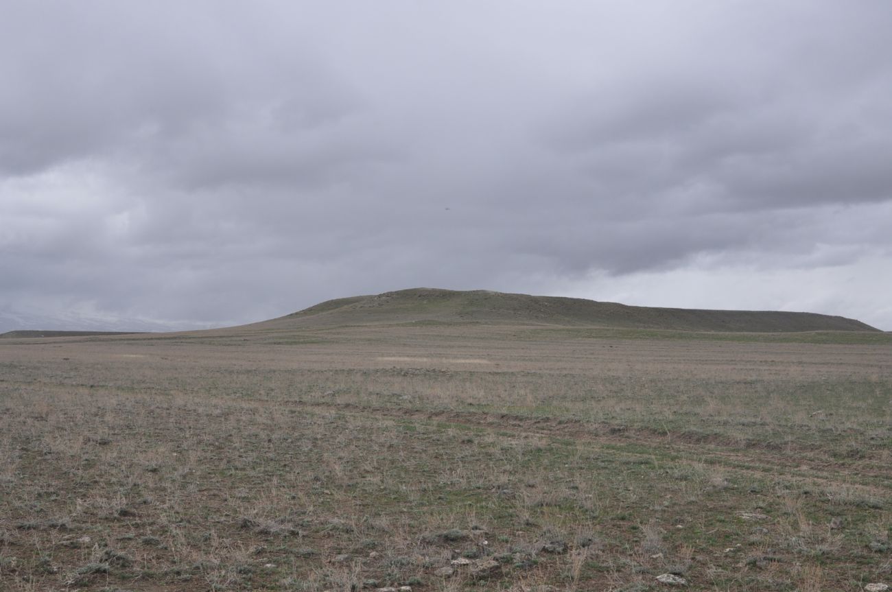 Окрестности храма Тайлар, image of landscape/habitat.