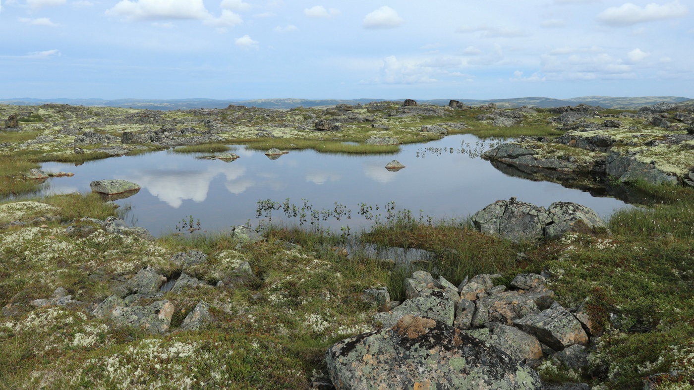 Высота 314.9, image of landscape/habitat.