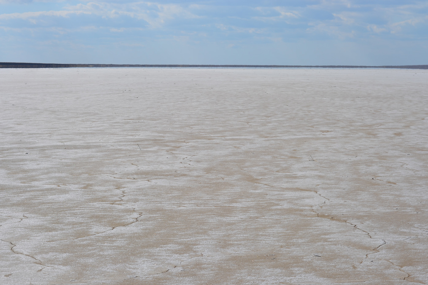 Урочище Латы (оз Узунлар), image of landscape/habitat.