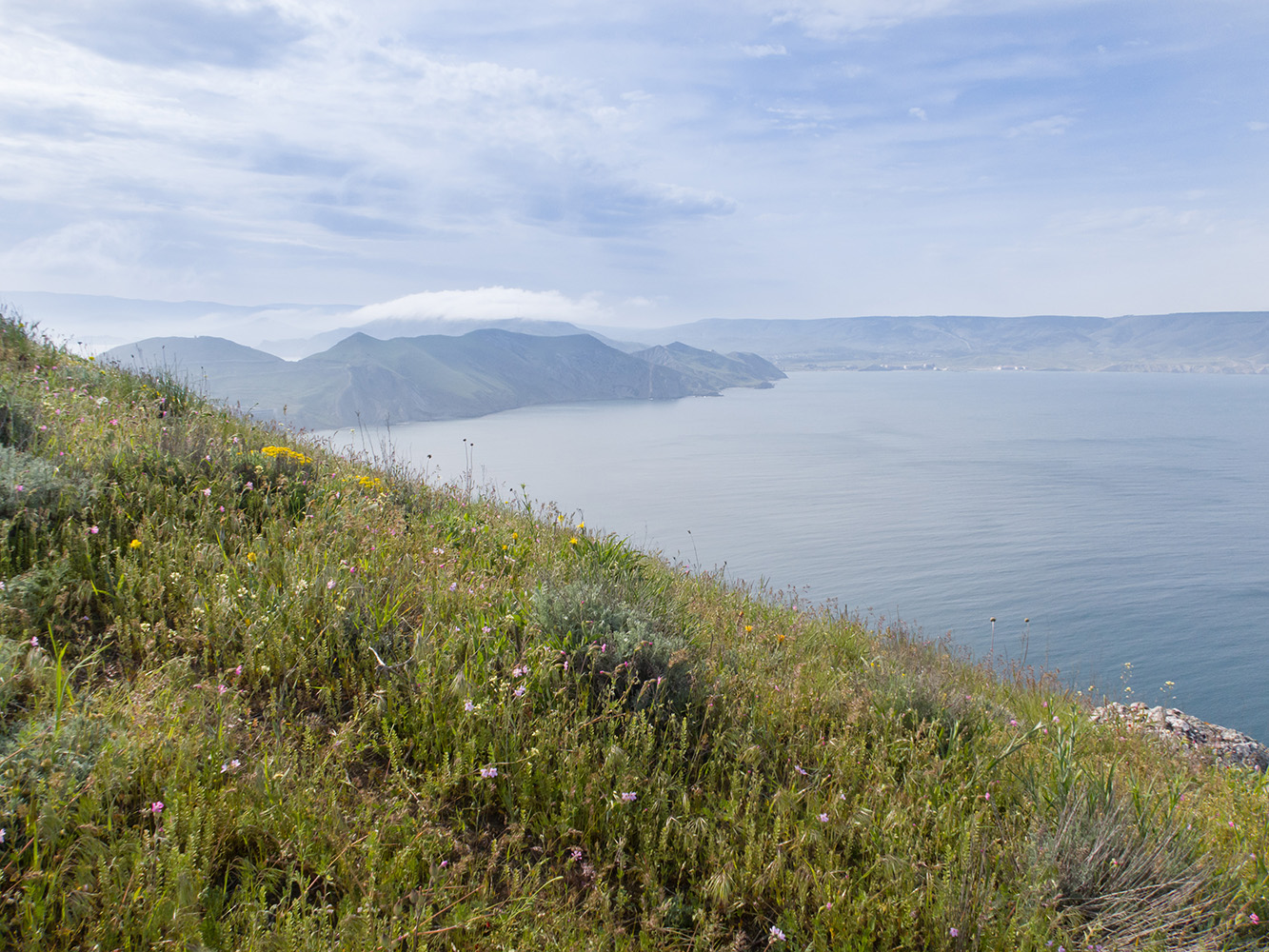 Гора Батон, image of landscape/habitat.