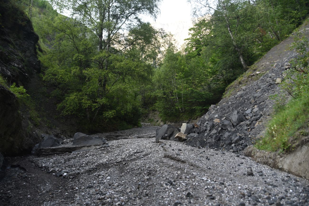 Левый приток реки Цесиахк, image of landscape/habitat.