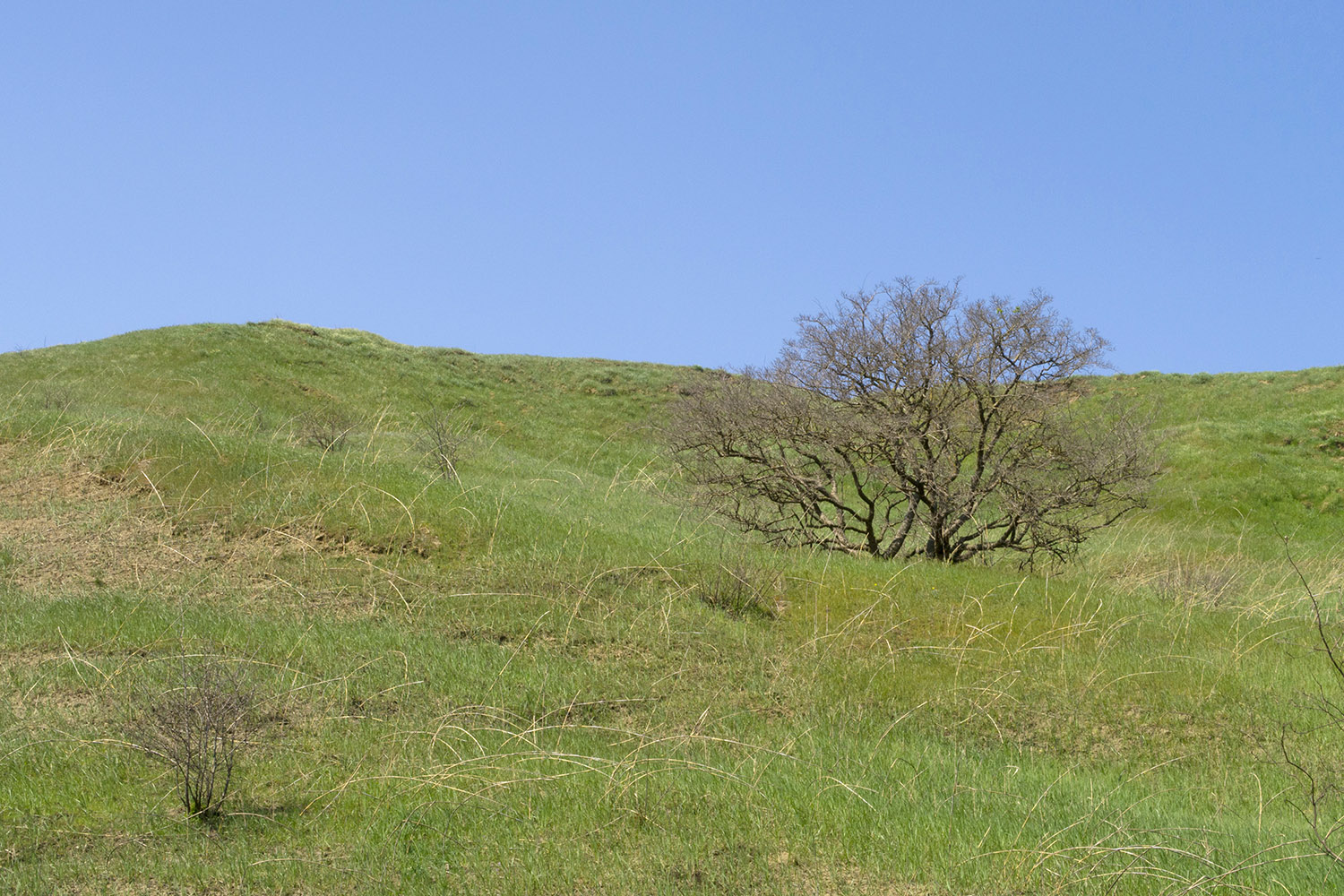 Дубовый Рынок, image of landscape/habitat.