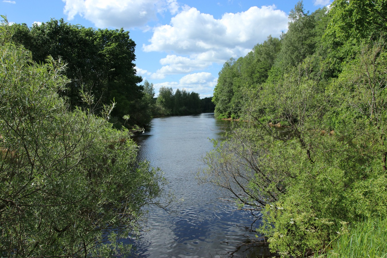 Луга у Кемки, image of landscape/habitat.