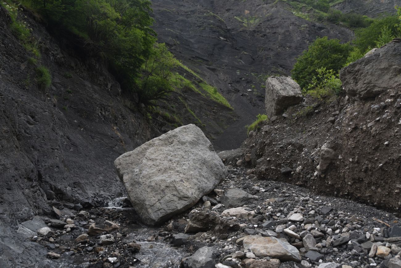 Левый приток реки Цесиахк, image of landscape/habitat.