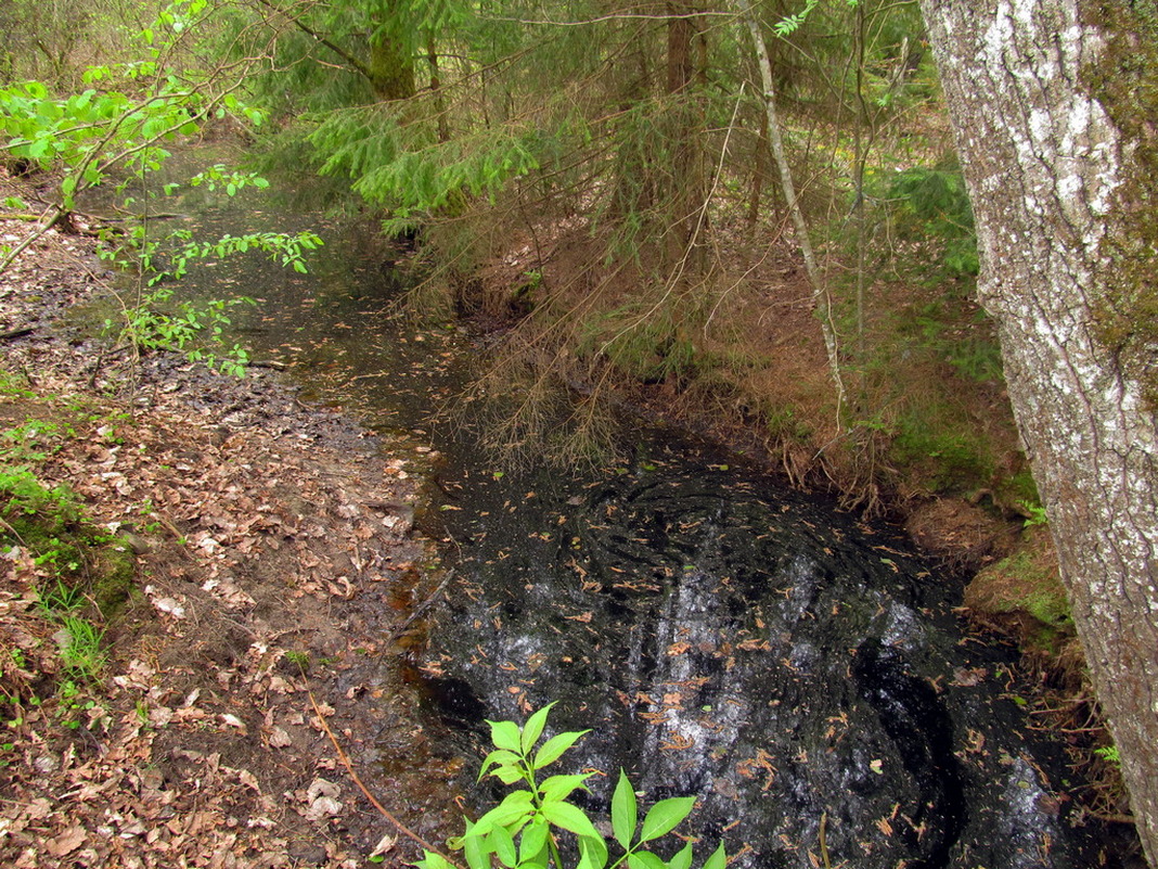 Дачи НЗГА, image of landscape/habitat.