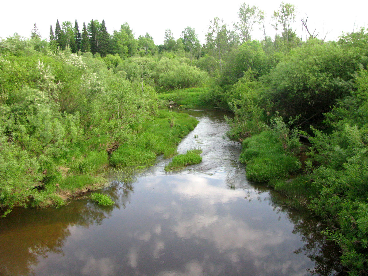 Бассейн Обноры, image of landscape/habitat.