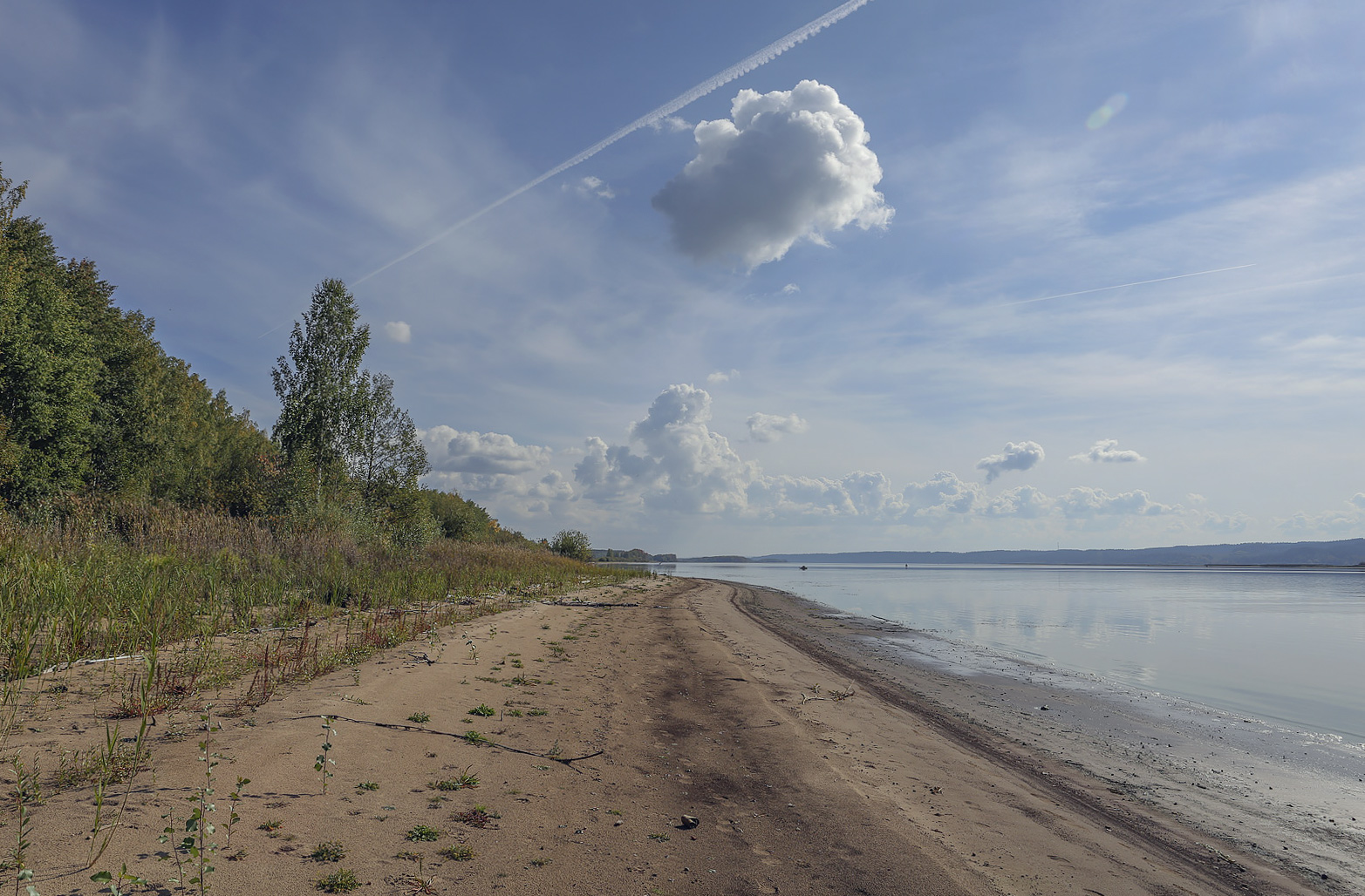 Кунчурихинский бор, image of landscape/habitat.