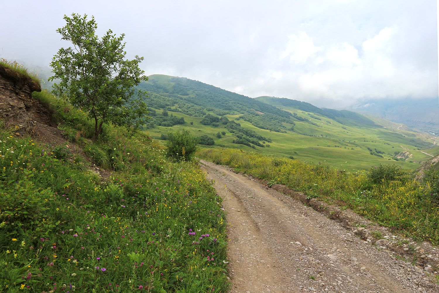 Перевал Северный Курноят, image of landscape/habitat.