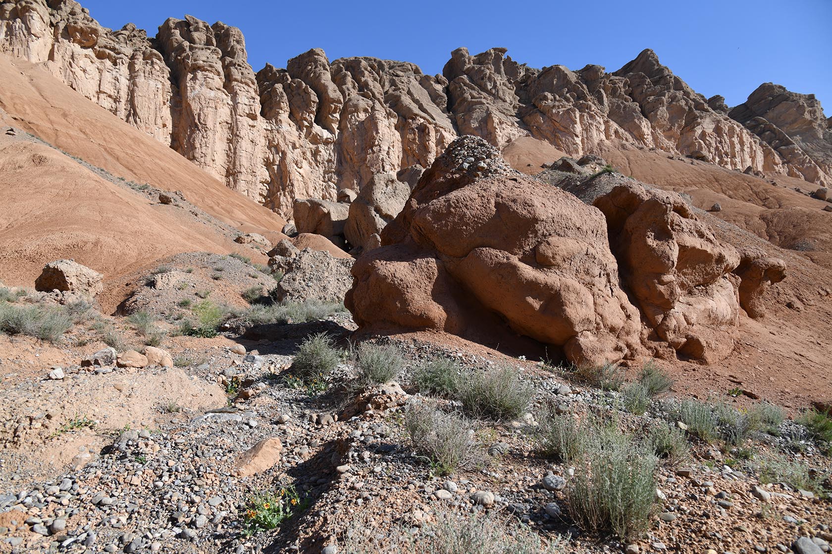 Исфара, image of landscape/habitat.
