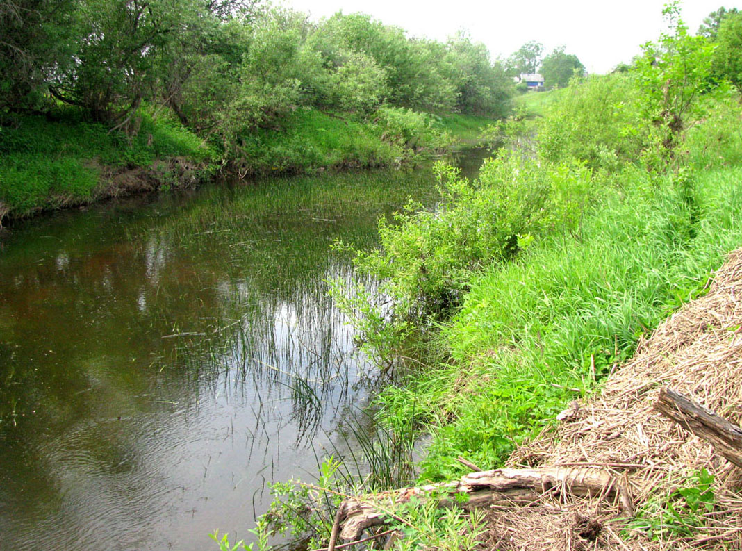 Бассейн Обноры, image of landscape/habitat.