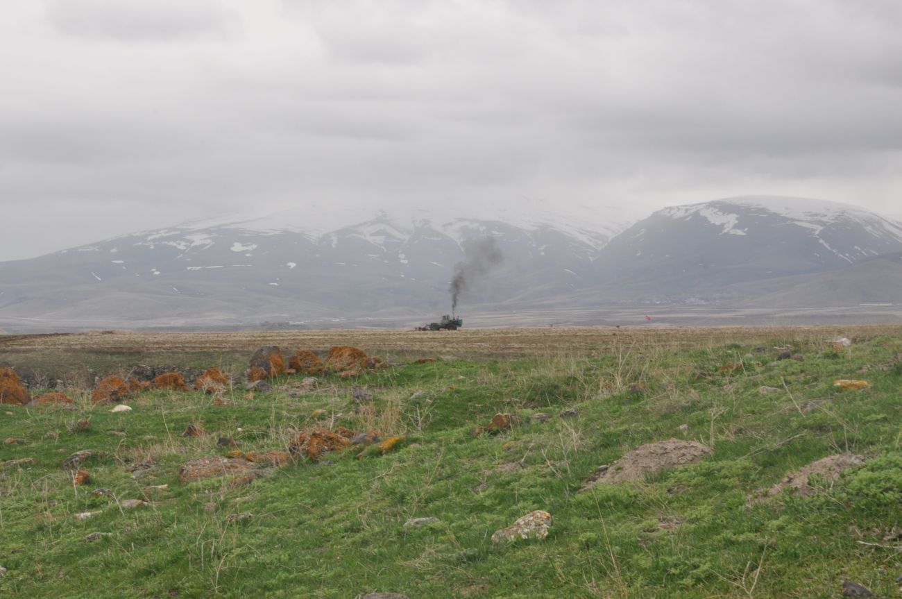 Окрестности храма Тайлар, image of landscape/habitat.