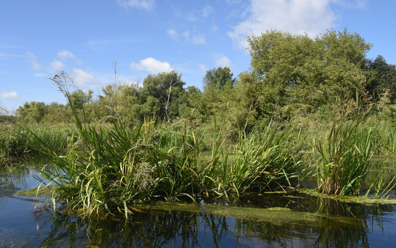 Камень Кудеяра, image of landscape/habitat.