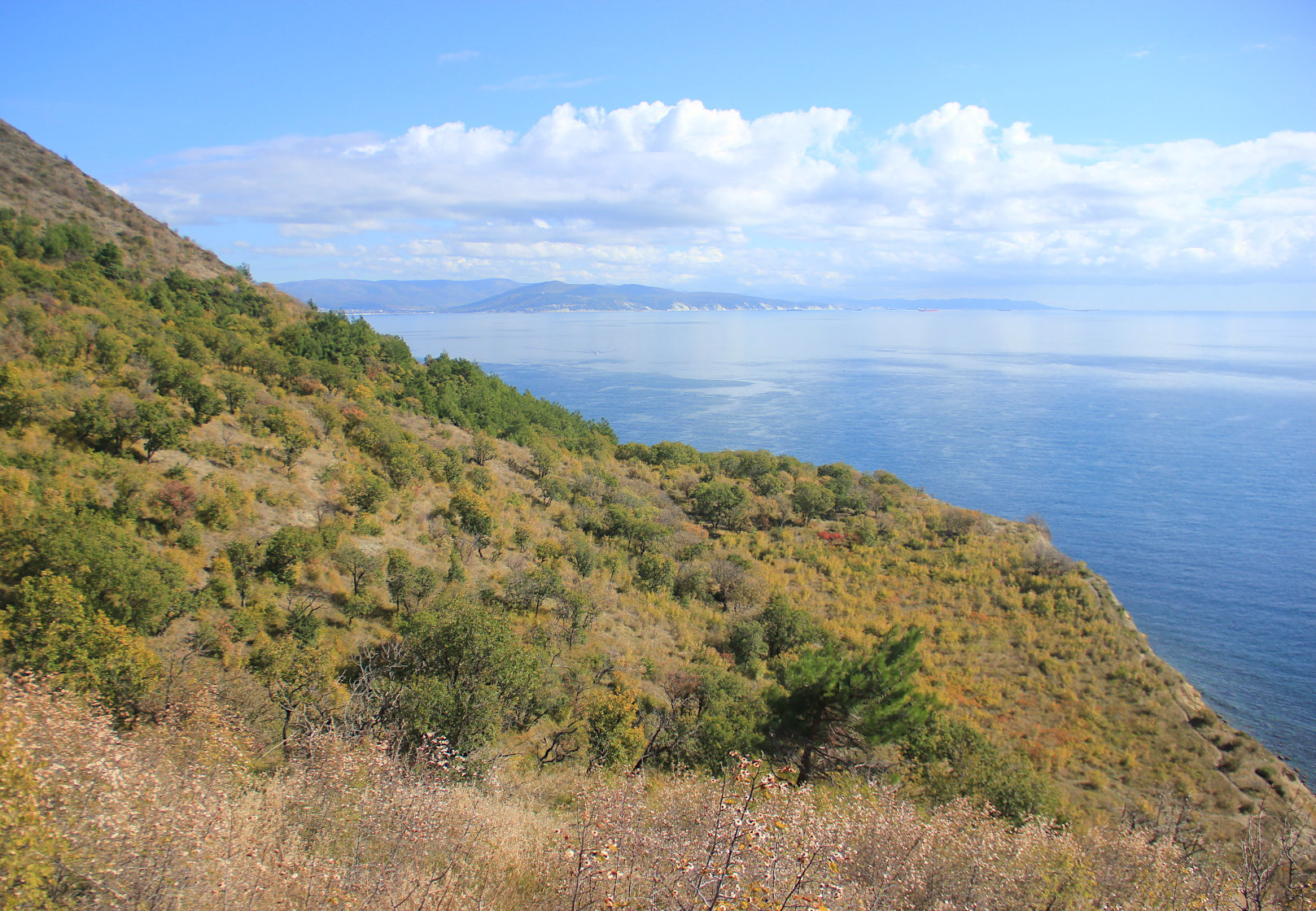 Мыс Мысхако и окрестности, image of landscape/habitat.