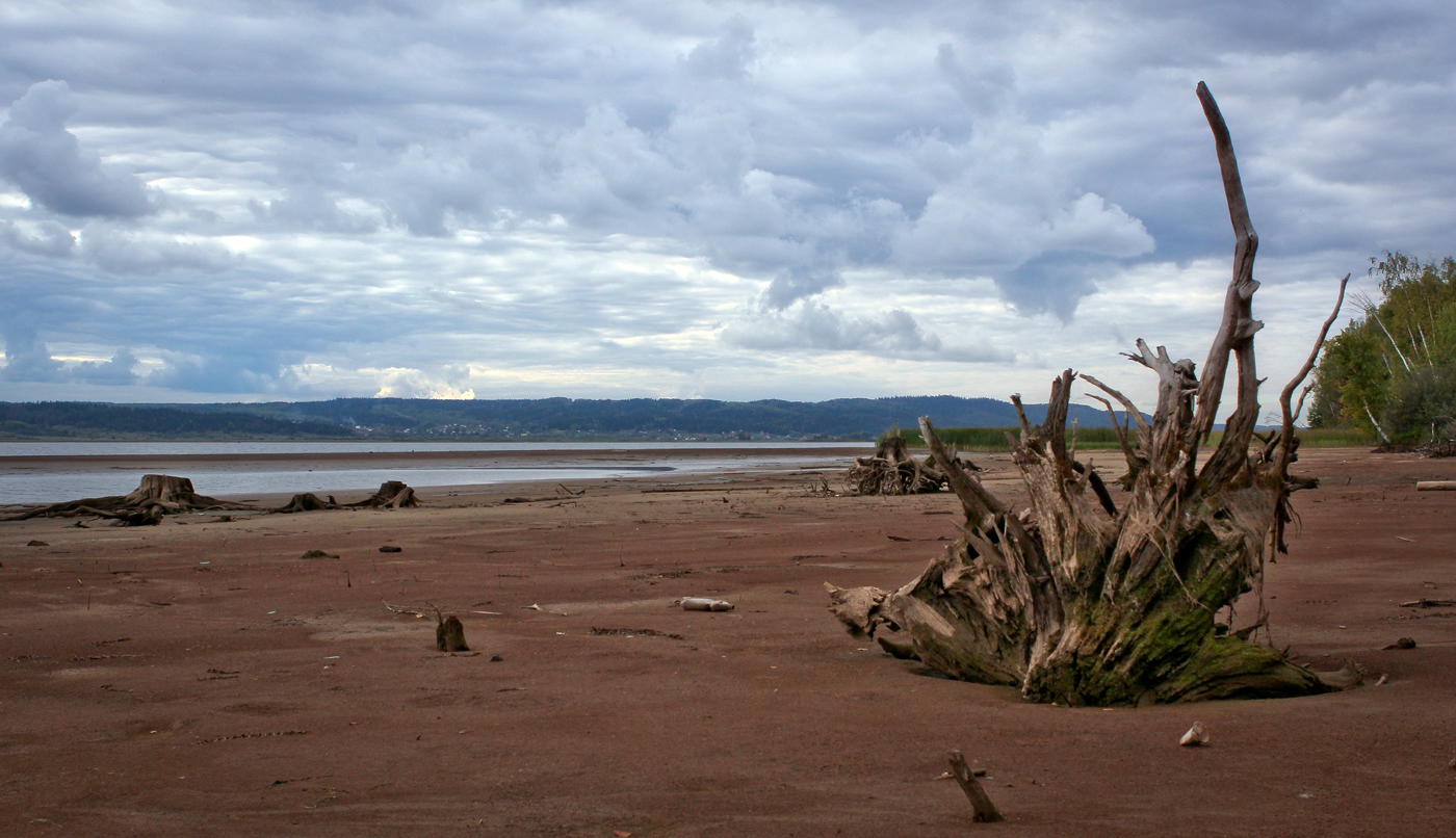 Кунчурихинский бор, image of landscape/habitat.