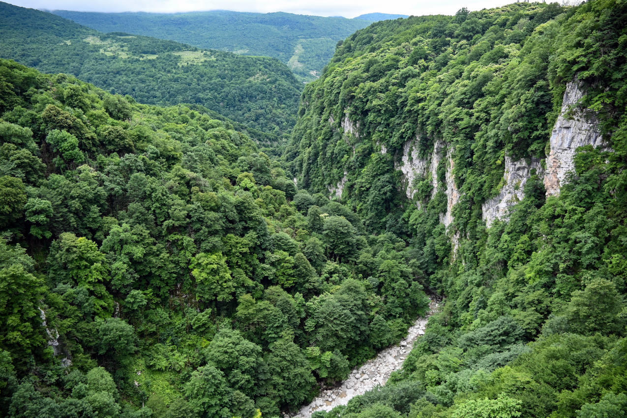 Каньон Окаце, image of landscape/habitat.