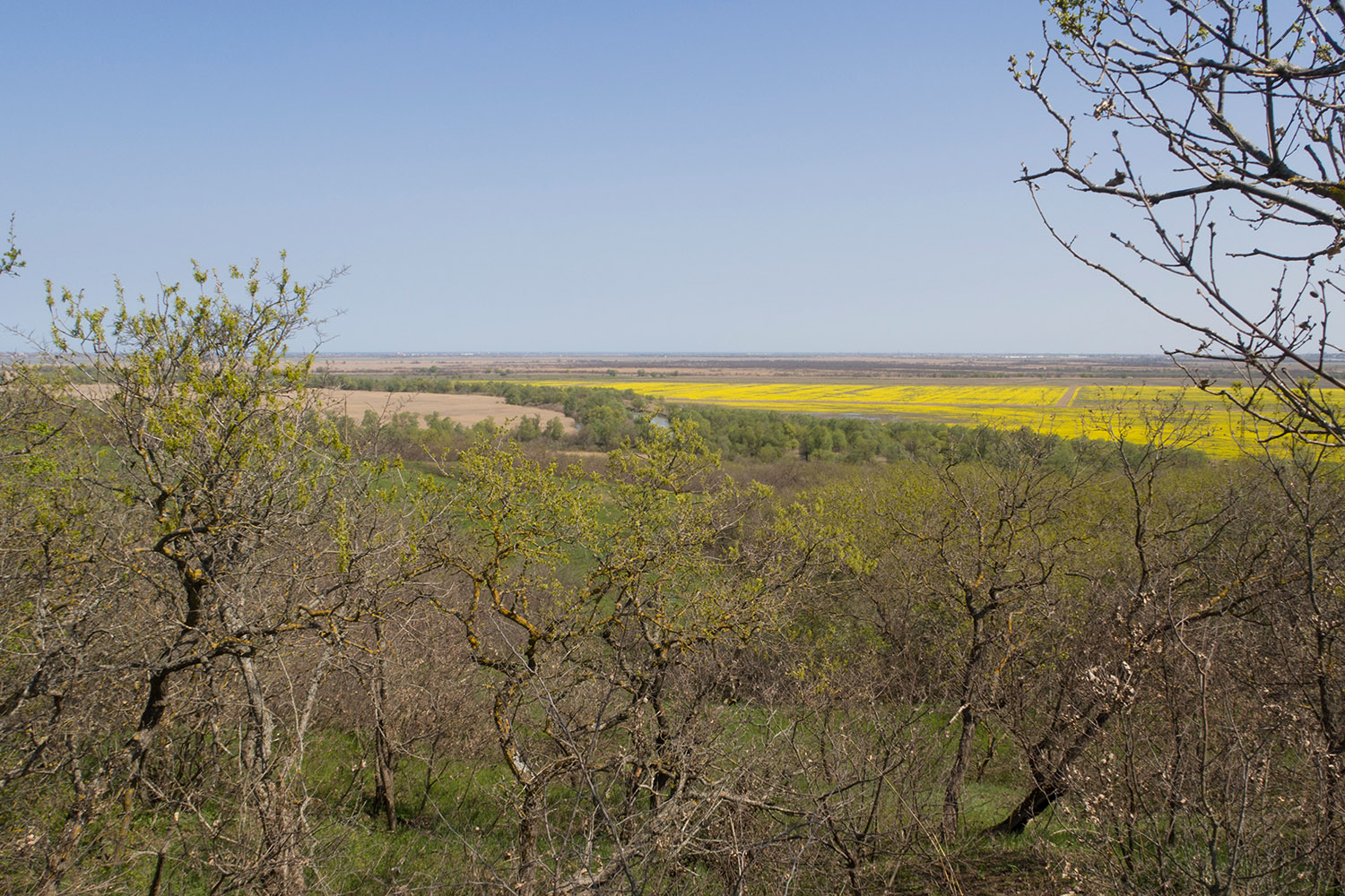 Дубовый Рынок, image of landscape/habitat.