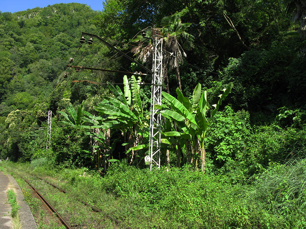 Новый Афон, image of landscape/habitat.