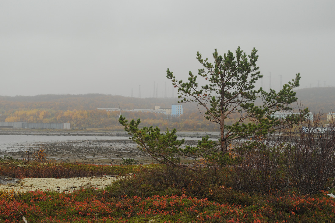 Губа Грязная, image of landscape/habitat.