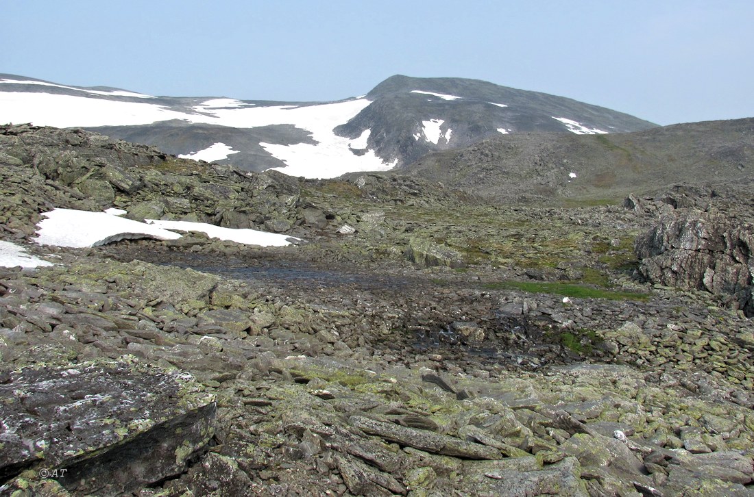 Верховья Большой Пайпудыны, image of landscape/habitat.