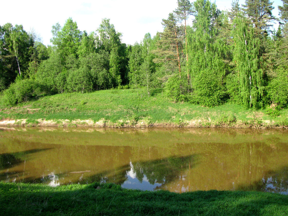 Бассейн Обноры, image of landscape/habitat.