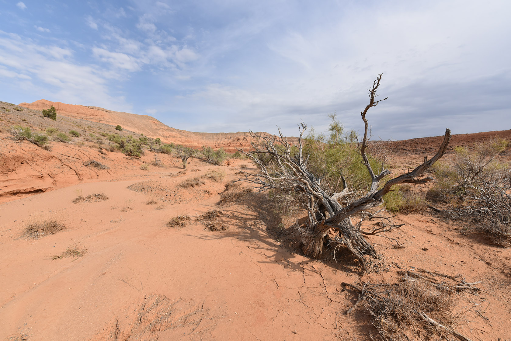 Горы Улькен-Богуты, image of landscape/habitat.