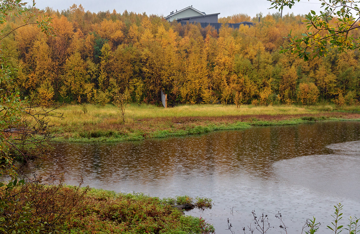 Мурманск, image of landscape/habitat.