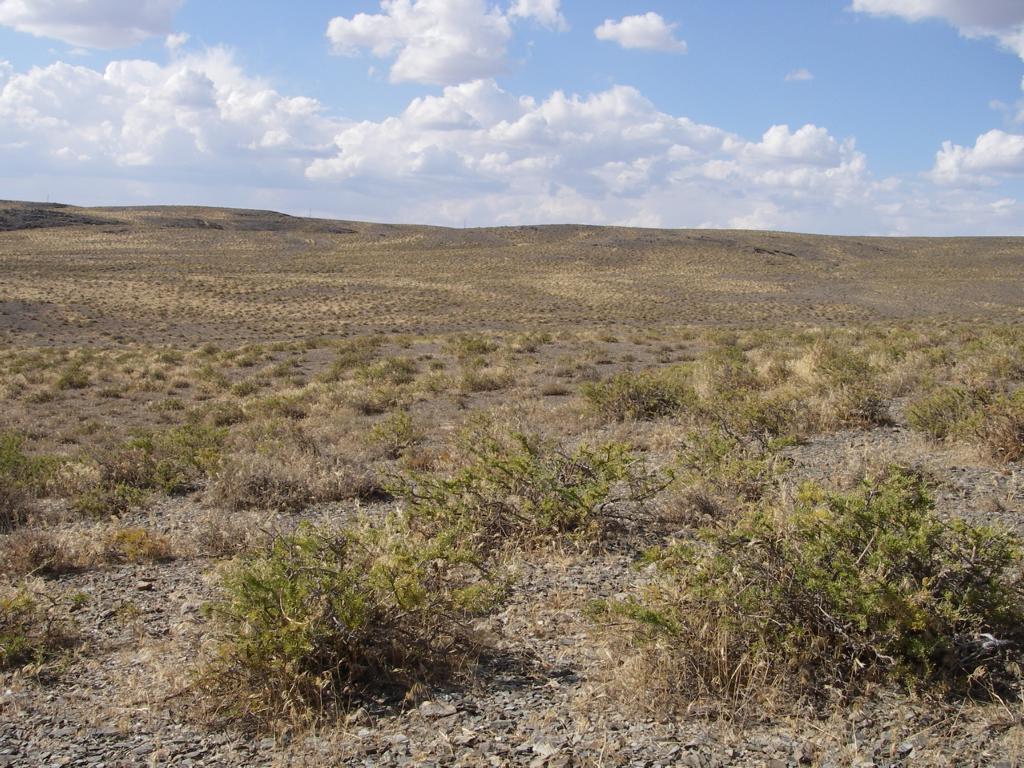 Река Коспа, image of landscape/habitat.