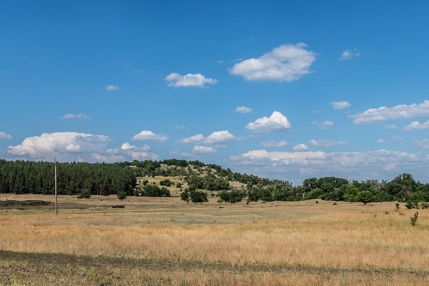 Гора Городище, image of landscape/habitat.