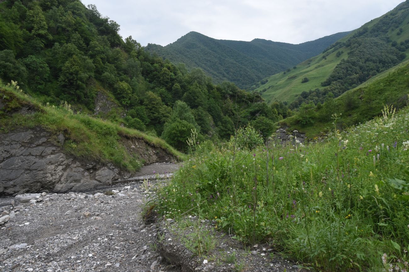 Левый приток реки Цесиахк, изображение ландшафта.