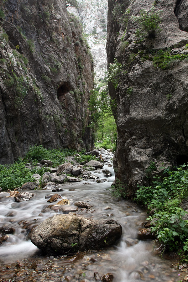 Ущелье Бургулюк, image of landscape/habitat.