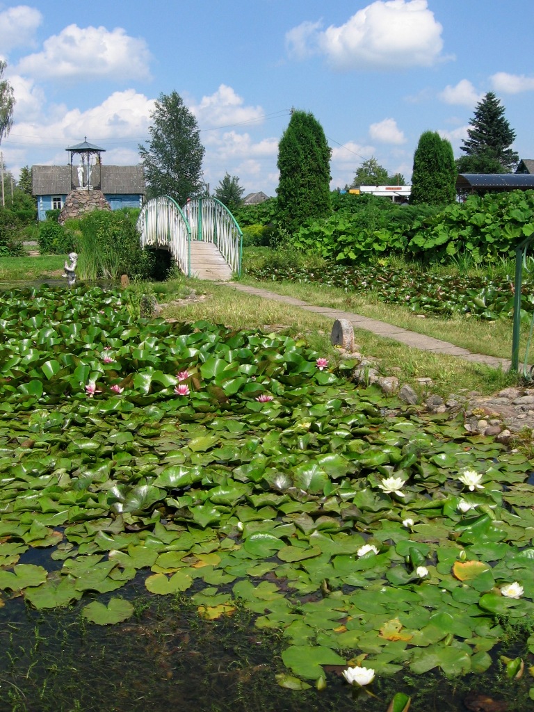 Мосар, image of landscape/habitat.