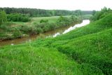 Бассейн Обноры, image of landscape/habitat.