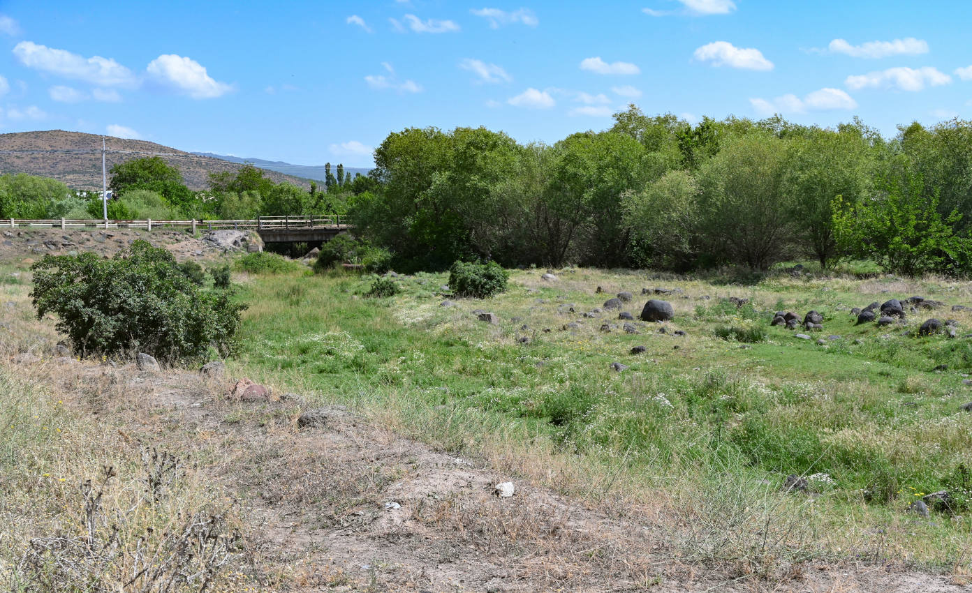 Окрестности села Агарак, image of landscape/habitat.