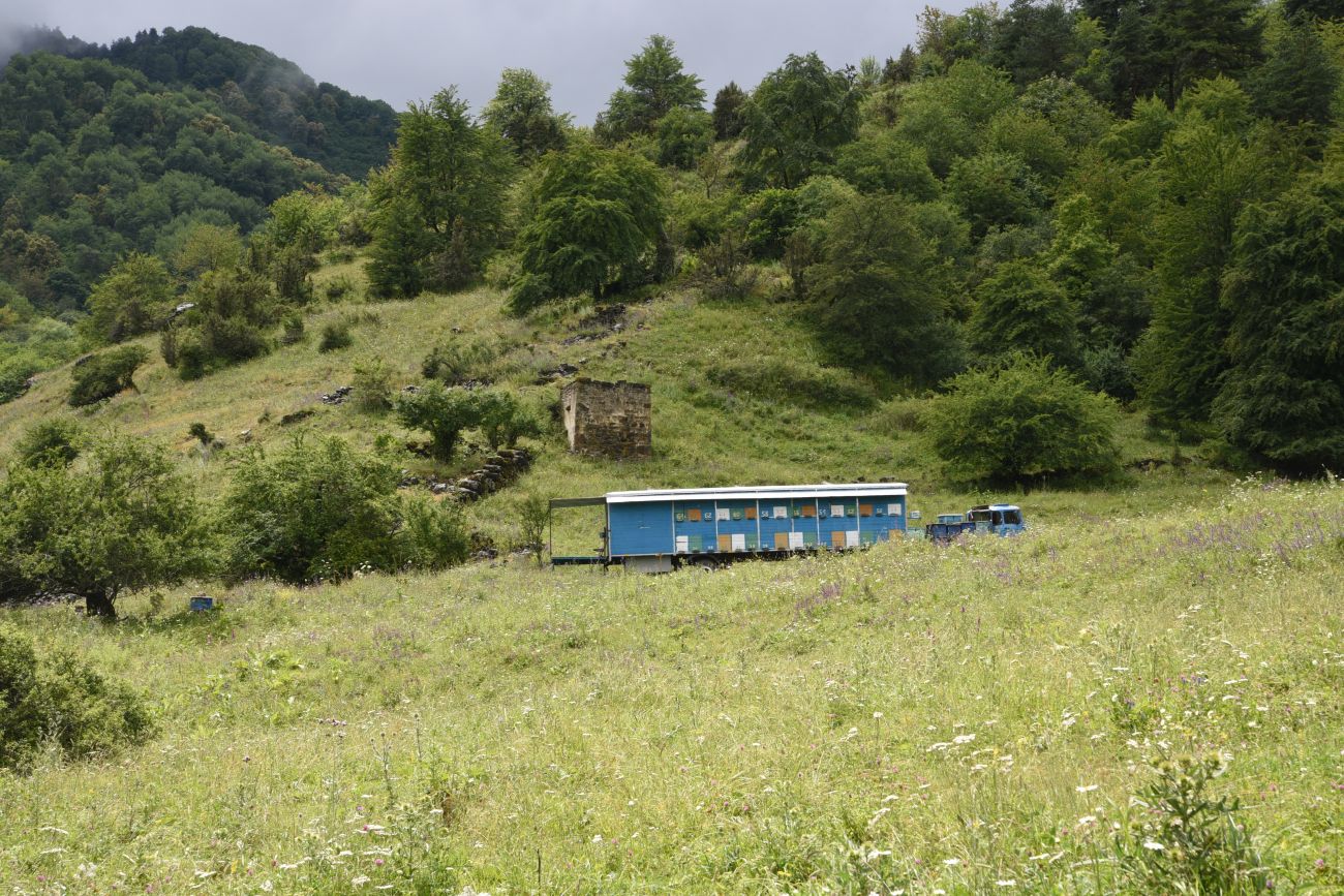 Нижний Кяхк и окрестности, изображение ландшафта.