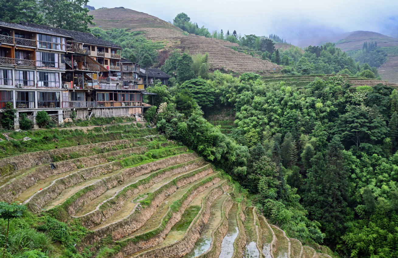 Рисовые террасы Лунцзи, image of landscape/habitat.