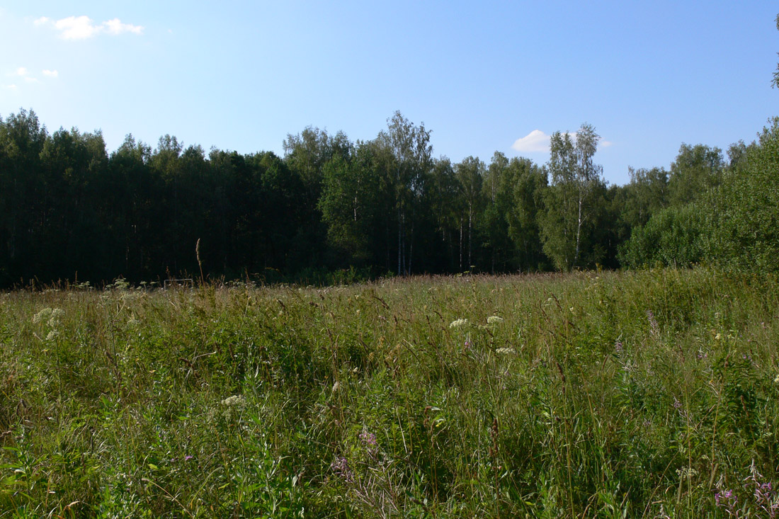 Окрестности г. Чехов, image of landscape/habitat.