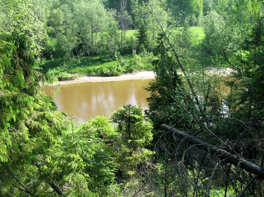 Бассейн Обноры, image of landscape/habitat.